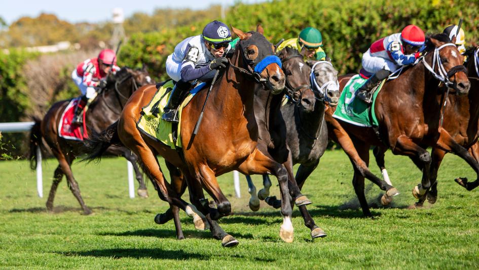 Freedom Trail, 2022 Awad Stakes, Aqueduct, Hill Prince Stakes, Eclipse Sportswire
